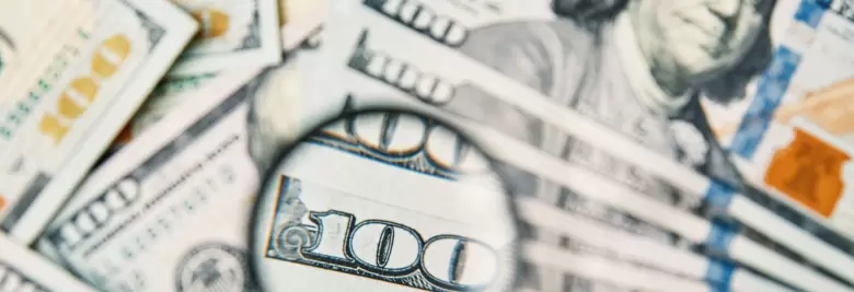 dolar bajo la lupa