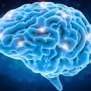 ACV y demencia, las enfermedades que m�s afectan al cerebro