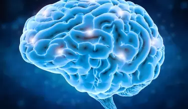 cerebro