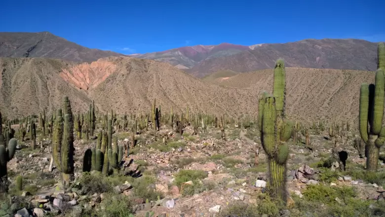 argentina norte