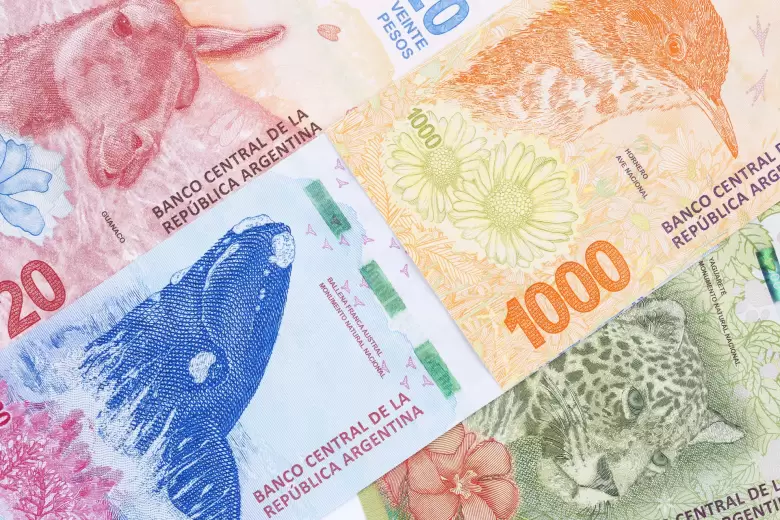 dinero argentino