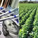 Alta liquidaci�n de divisas en noviembre: casi US$ 2000 millones ingresaron por agroexportaci�n