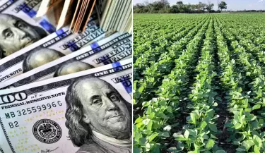 Liquidaci�n en divisas en agroexportaci�n