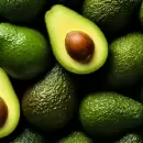 Paso a paso: c�mo germinar una semilla de palta y tener un �rbol en tu casa
