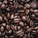Estos son los beneficios del caf� para los �rboles frutales de tu jard�n