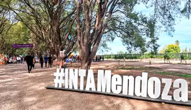inta mendoza