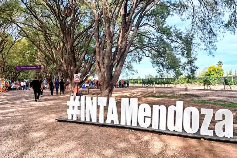 inta mendoza