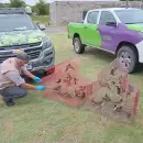 Ambiente traslada m�s de 35 aves rescatadas del tr�fico al Centro de Conservaci�n de Vida Silvestre en San Luis