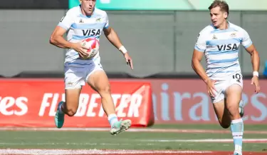 los pumas