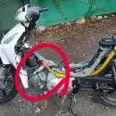 'Gasura' a motor: Estudiantes de la UTN dise�an una moto que funciona con residuos