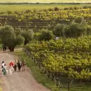 Mendoza recibir� el 14� Encuentro Internacional de Vitivinicultura Biodin�mica en Bodega Alpamanta