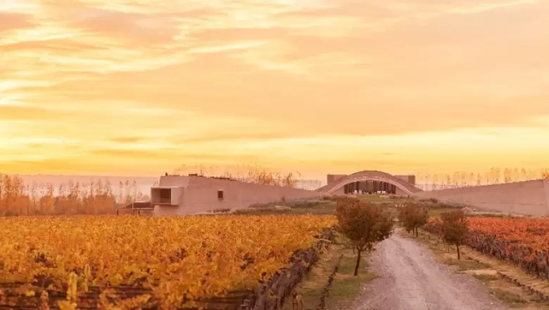 Se desarrollar� en Bodega Alpamanta el Encuentro de Vinivinicultura Biodin�mica los d�as 5 y 6 de diciembre.