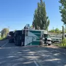 Aparatoso accidente de un cami�n cargado con vacas en Maip�
