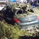 Doce ni�os se salvaron por milagro tras la ca�da de un �rbol en Godoy Cruz