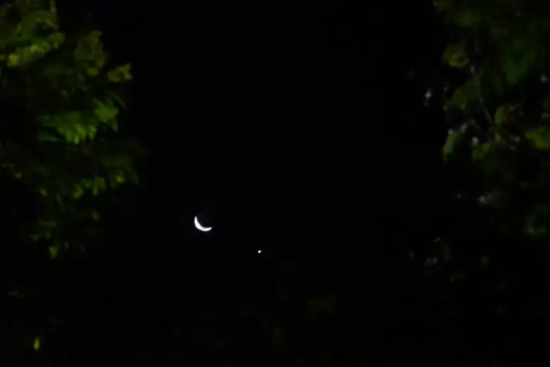 El �ltimo cuarto creciente y Venus del a�o - Foto: Tom�s Lobo