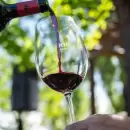El vino mendocino y su posibilidad de conquistar un nuevo mercado europeo