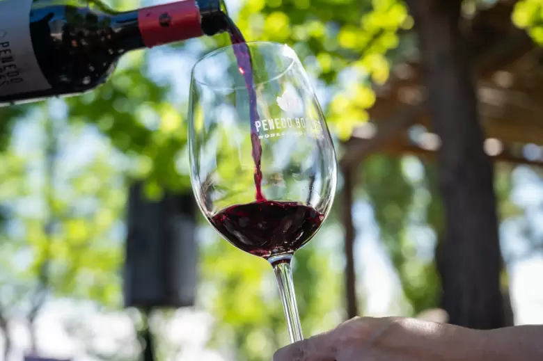 vino