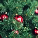 Por qu� el 8 de diciembre es el d�a ideal para armar el �rbol de Navidad: El origen de la tradici�n