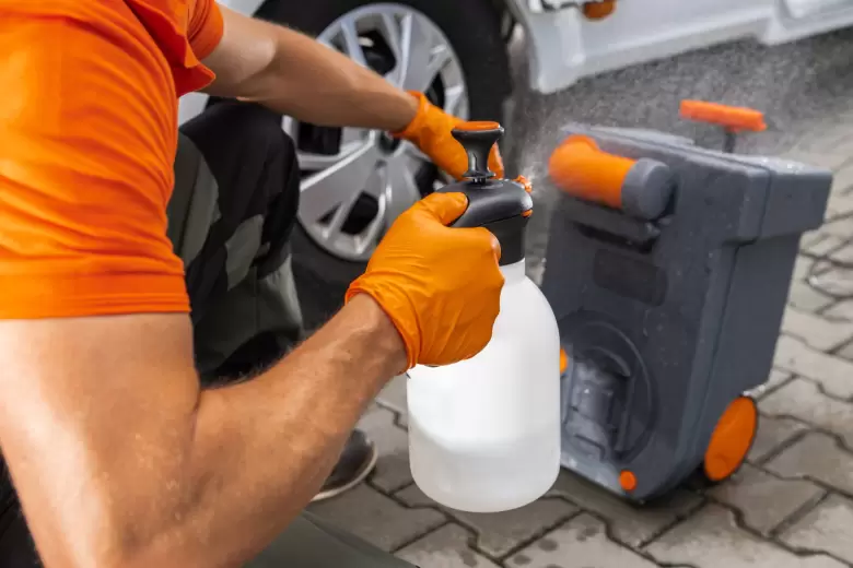auto limpio