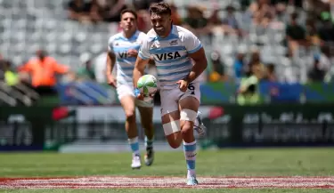 los pumas