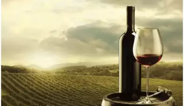 vino mendocino