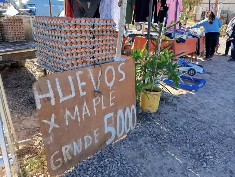 Variedad de productos y precios, una alternativa para la econom�a diaria