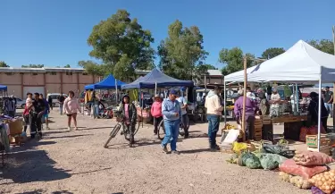 FERIA UGARTECHE