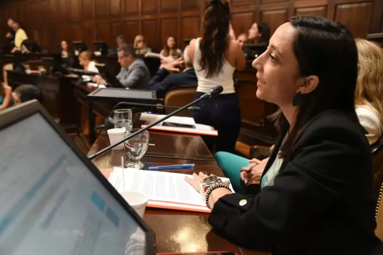 senado