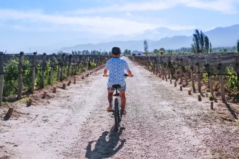 Turismo en Bicicleta. Enoturismo en Mendoza
