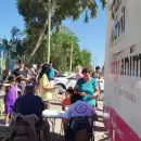 Contin�a el programa Amor Animal durante diciembre para mascotas
