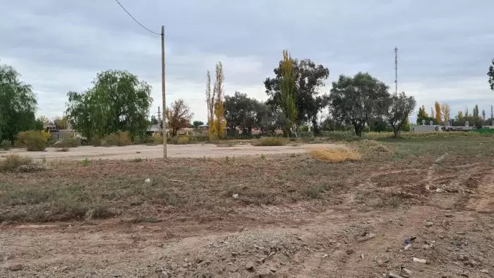 escuela