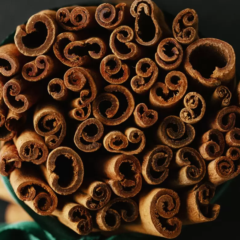 CANELA