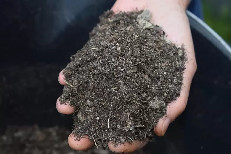 mulch-bokashi-earth-nature-grow-green-outdoor-natural-plant