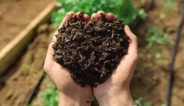bokashi-para-una-agricultura-sostenible