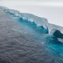 El iceberg m�s grande del mundo y su posible impacto en el ecosistema del Atl�ntico Sur