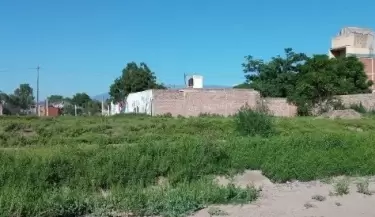 nuevo jardin