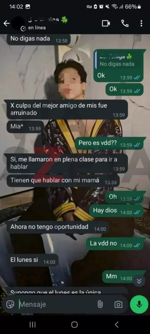 Los chats de la menor que quer�a llevar a cabo un tiroteo en su escuela de Florencio Varela.