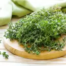 Tomillo: mucho m�s que un sabor, descubr� sus incre�bles beneficios para la salud