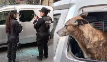 Nuevo caso de un perro encerrado en un auto causa indignaci�n.