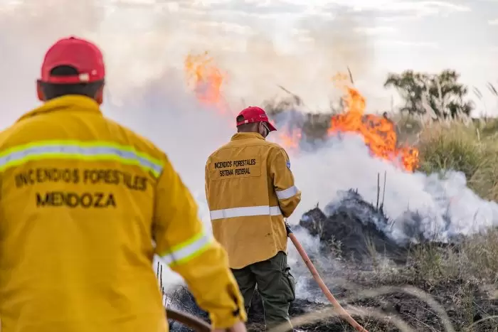 bomberos manejo de fuego