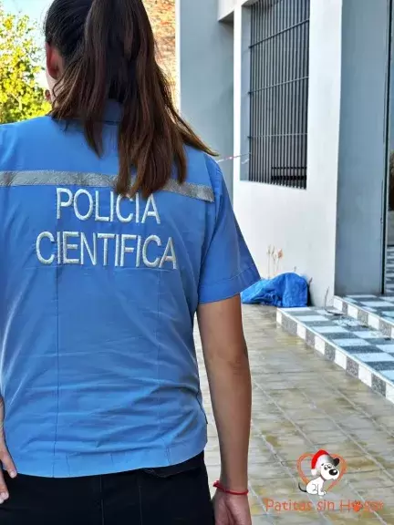 Un hombre acuchill� a un perro mientras com�a en un restaurante