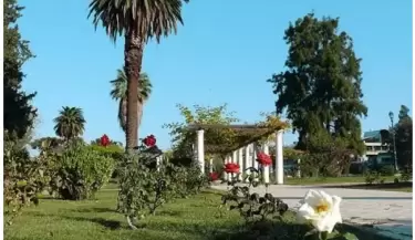 rosedal parque san martin