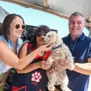Entragaron m�s de 900 kilos de alimento al refugio ��ngeles de cuatro patas�