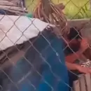 Indignaci�n: Un hombre fue detenido por asesinar a su perra a mazazos y quedar filmado