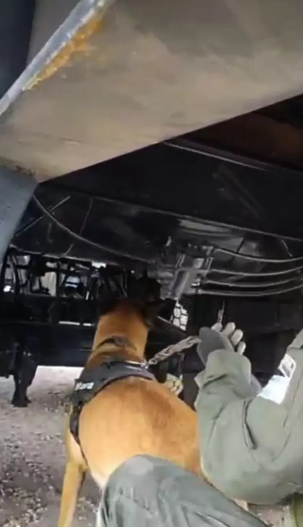 Operativo de Gendarmería Nacional