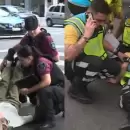 (Video) Una conductora atropelló a una agente tras un control de alcoholemia y ambas se descompensaron