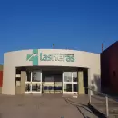 Un conductor hospitalizado tras chocar contra una vaca en la ruta 86, a la altura de Los Cerrillos