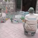 Rescataron a 30 aves silvestres protegidas que viv�an hacinadas en una casa de Las Heras
