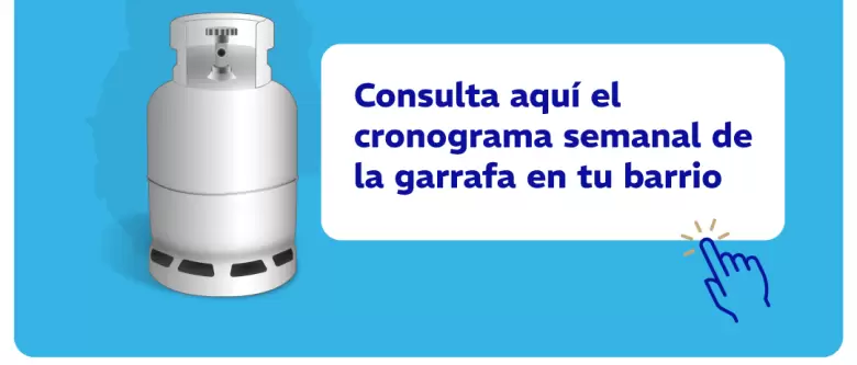 Cronograma del programa