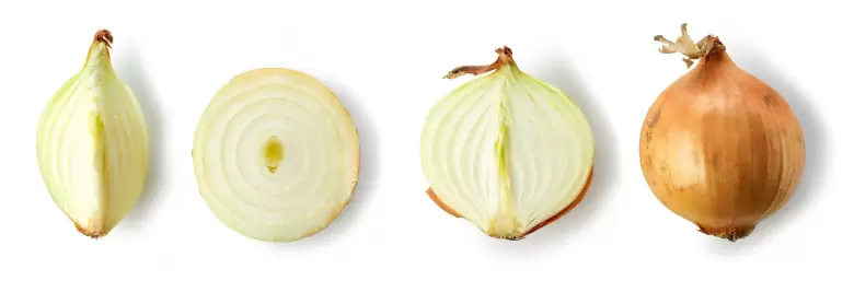 cebolla